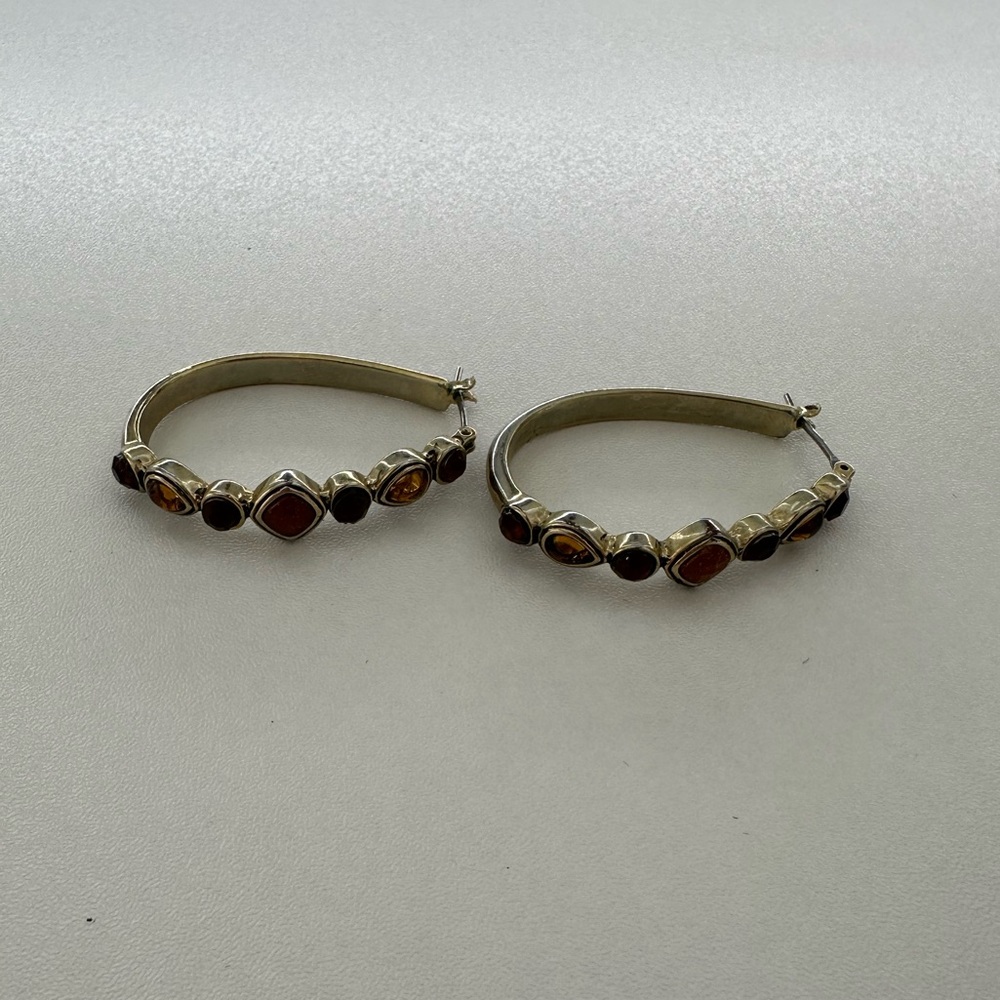 Elegant Brown Hoop Earrings